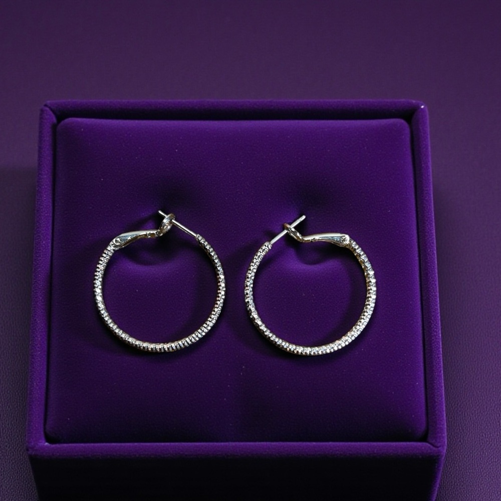 Elegant Silver Hoop Earrings